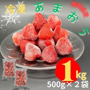 【福岡スイーツ自然の贈り物】かわいい化粧箱入り！福岡県産冷凍あまおう合計1kg(500g×2袋)