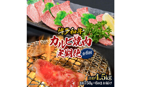 a Jrē(o)֑S6(750g×6)