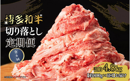 博多和牛 切り落とし 定期便全6回 計約4.8kg(約800g×6回)