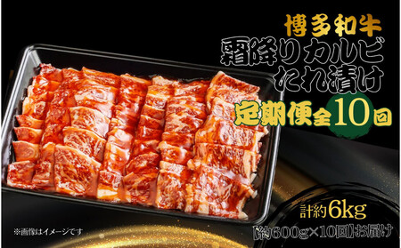 a ~JrЂ S10 600g×10