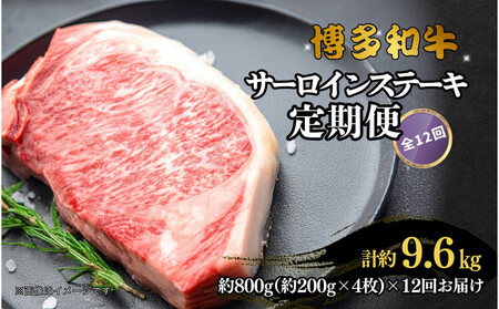 a T[CXe[L ֑S12 v9.6kg(800g(200g×4)×12)