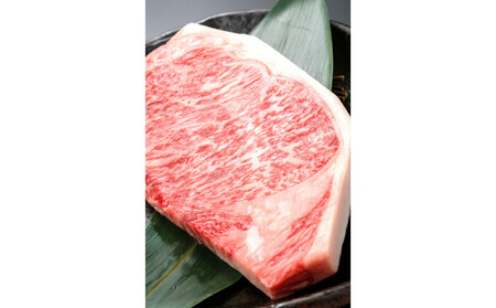 博多和牛ロース定期便[贅沢な6ヶ月間の博多和牛グルメ体験]