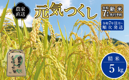 [先行予約][2025年11月より順次発送][令和7年産 ]福岡県産 ブランド 米「 元気つくし 」 5kg