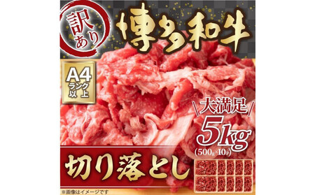 󂠂 a ؂藎Ƃ 5kg ( 500g×10pbN ) |   ؂藎Ƃ a  ؗ    ؂藎Ƃ  ؂藎Ƃ s 5000g 5L ؂藎Ƃ Ⴊ  u uh 