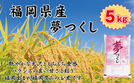 [令和7年産新米予約][食味鑑定士厳選] 福岡県産 夢つくし5kg (5kg×1袋)
