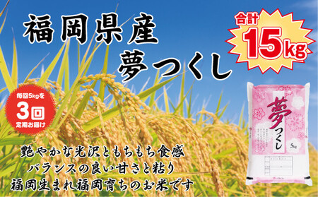 [定期便全3回][令和7年産新米予約][食味鑑定士厳選]福岡県産 夢つくし5kg (5kg×1袋) 合計 15kg