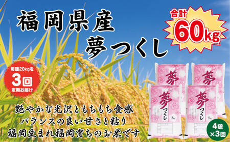 y֑S3zyߘa7NYVė\zyHӒmIzY 20kg (5kg×4) v 60kg