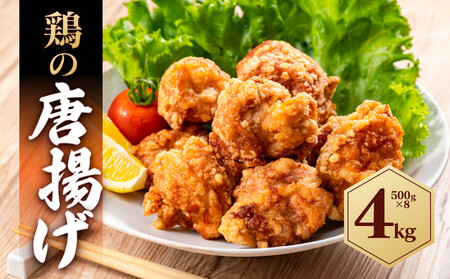 {̓g 4kg ( 500g×8pbN )