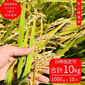 10{菇ߘa7NYVĂЂ̂Ђ100%(ЕۗLc) 10kg(^pbN1000g×10)  s