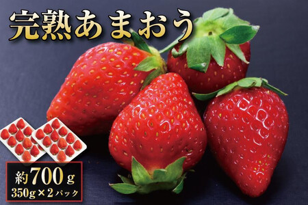 y2026N1`2oח\zn ܂ C`S 350g×2pbN(700g)zsFkCAꌧA