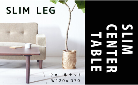 【どんなお部屋にもぴったり】 やさしいデザインのスリムセンターテーブル 120×70 ウォールナット ローテーブル 無垢材 国産 大川家具