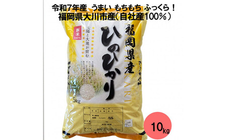 �������Y�� �Ђ̂Ђ��� 10kg �i������ ���s�Y�j