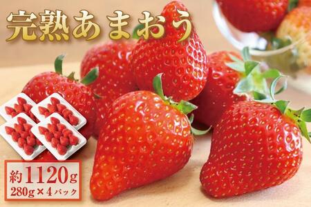 【今期の受付は4/15まで！】完熟 あまおうイチゴ280g×4（1120g）