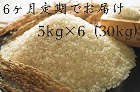 [頒布会]福岡県大川市産ヒノヒカリ(2022年秋収穫のお米)5キロ×6回 定期コース(全6回のお届け)