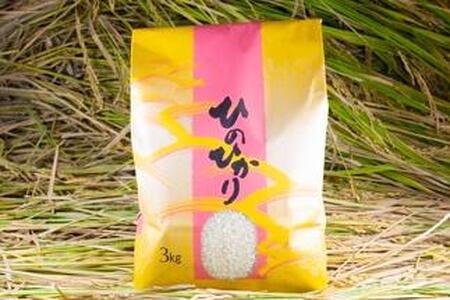 2024年秋収穫分 福岡県大川市産ヒノヒカリ 3kg【ギフト包装】