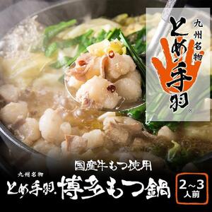 九州名物とめ手羽 博多もつ鍋セット 味噌味 2〜3人前