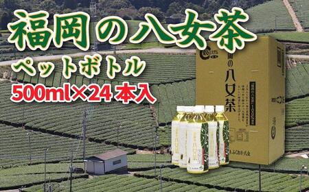 [八女産茶葉100%使用]福岡の八女茶(煎茶)500mlペットボトル24本入り