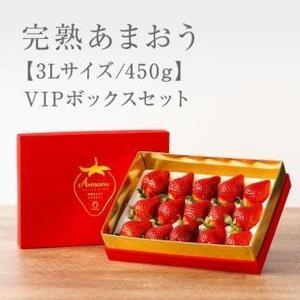 [2025年1月〜4月納品分予約販売]武下さんちの完熟あまおう3Lサイズ450g。赤いVIPボックスに入れて!