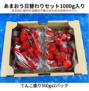 [2025年1月〜4月納品分予約販売]ボリューム満点てんこ盛り500g×2パック!完熟あまおう日替わりセット1000g