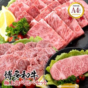 Y јaA4Nȏ̔aI ɏHה׃Zbg( ēlߍ킹450g IXCX450g T[CXe[L1 )