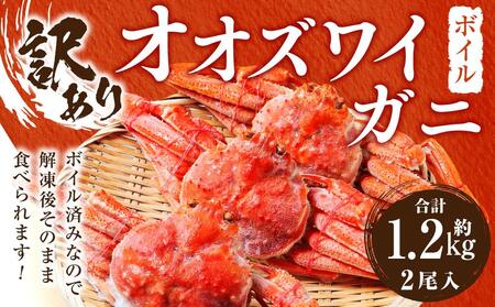 「訳あり」オオズワイガニボイル　2尾　合計約1.2kg ｜ ズワイガニ