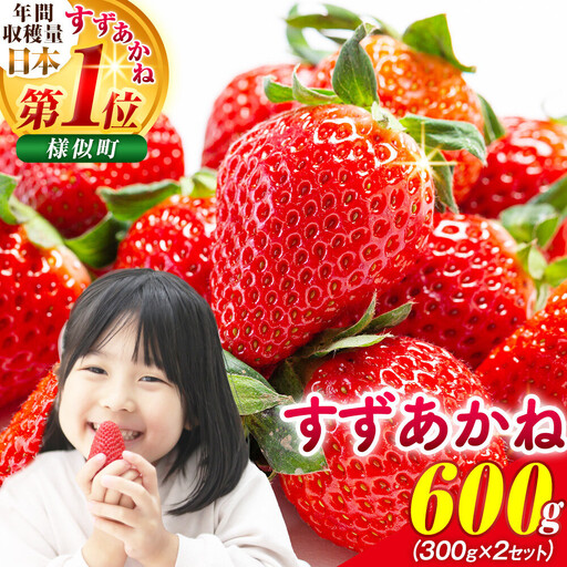 北海道様似町産 すずあかね 600g(300g×2セット)いちご いちご