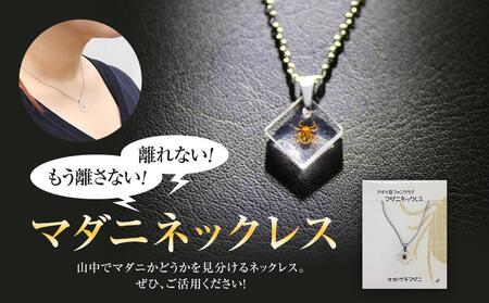 もう離さない!離れない! マダニネックレス | ネックレス ネックレス ネックレス ネックレス ネックレス