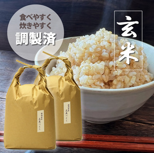 福岡県産[特A]評価のお米「元気つくし」5kg×2袋 (10kg)[玄米]