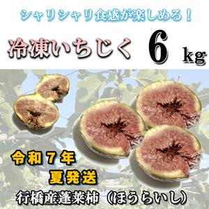 AO-023_冷凍いちじく6kg