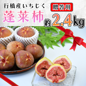 AO-026_【予約・令和７年夏発送】行橋産いちじく（蓬莱柿）贈答用　2箱