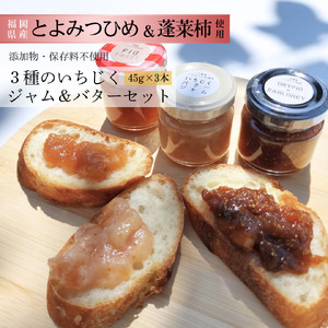 行橋産いちじく 3種のいちじくジャム&バターセット ミニジャム45g×3種 おためしに最適