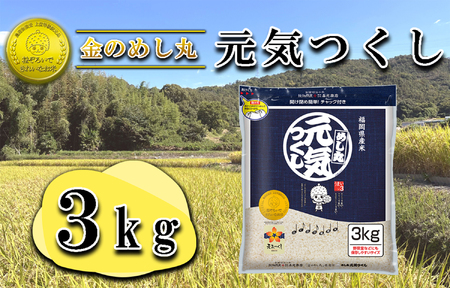 CE-110_ߘaVNā@̂߂یC RKgiP܁j