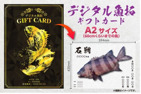 CM-021 【A2・デジタル魚拓ギフトカード】メモリアルフィッシュを釣れたてのままに。