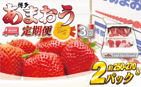 博多あまおう2パック 3か月定期便