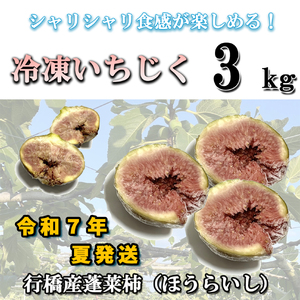 AO-011_冷凍いちじく3kg