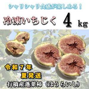 AO-012_冷凍いちじく4kg
