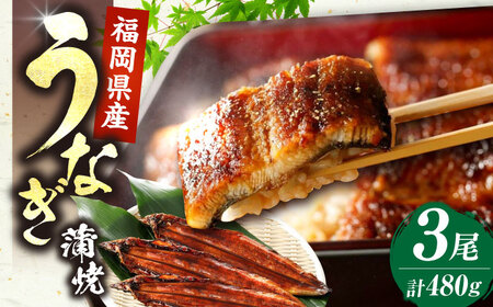 Y Ȃ  3 480g y{Vz[VAD003] V Ȃ