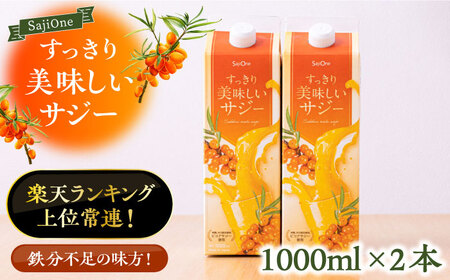 家族みんなでおいしく飲める!すっきり美味しい サジー(2本)[豊前市][ハウスボトラーズ] [VAX034] 