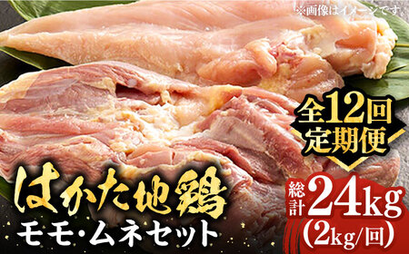 yS12ցz͂n{lZbg 2kgi1kg×2pjsLOstyMEAT PLUSz{ {   [VBB060]