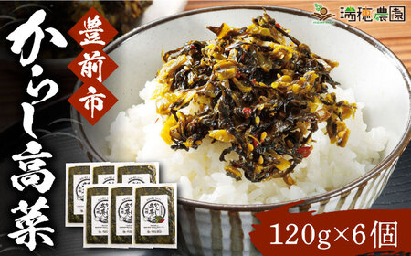 からし高菜120g×6個セット[豊前市][株式会社瑞穂] 