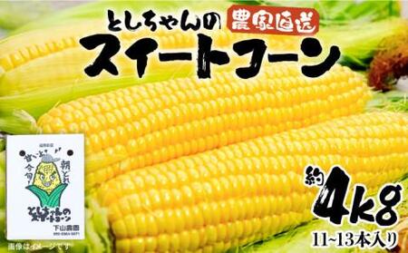 [2025年6月以降発送分予約]下山農園 としちゃん の 農家直送 スイートコーン 約 4kg (11〜13本入り)[豊前市]とうもろこし 野菜 BBQ 