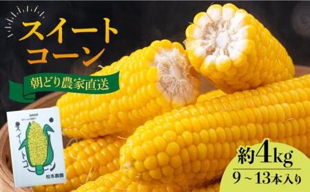 [先行予約]スイートコーン 約 4kg (9〜13本入り)[2025年6月より順次発送] [豊前市][松本農園]野菜 とうもろこし 