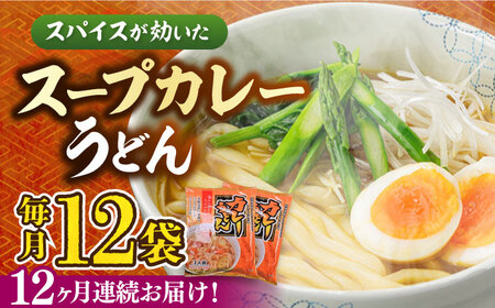 【第12回定期便】 スープカレーうどん (12食入り) [VAI073]うどん カレー 麺