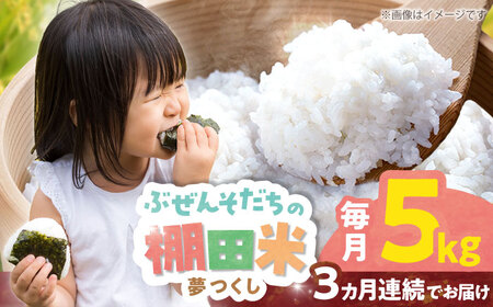 【全3回定期便】 求菩提米　夢つくし　5kg (5kg×1袋) 《豊前市》【アグリネックス】 米 お米 白米 5キロ 米5kg 米5キロ  新米 産地直送 精米 国産 おすすめ おいしい 2025年 甘い 人気 ランキング [VCO006]
