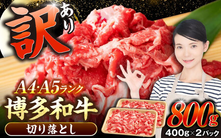 y󂠂zyA4?A5Nza  ؂藎Ƃ 800gi400g×2jsLOstyЖؑHiz Y J[ Ⴊ [VDZ039]