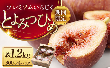 Yuh ԉ Ƃ݂Ђ i300g×4pbNjsLOsty썑t[cЁz t[c G ʕ [VBY008]