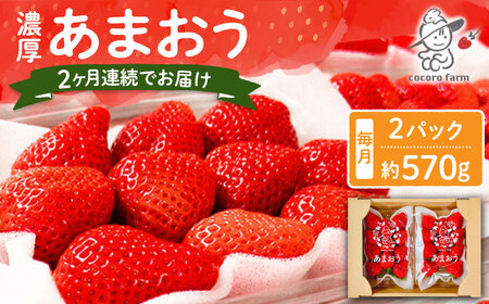[2回定期便][2025年12月から配送]ココロファームの濃厚あまおう 285g×2P 約570g [豊前市][ココロファーム]