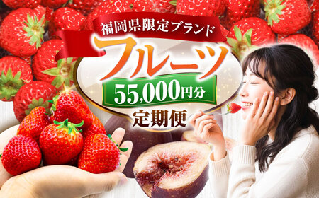 �y�S4�����ցz�t���[�c����� 5��5��~�R�[�X (���܂���3�큕��������) �s�L�O�s�t�y�L�O�s����ցz[VZZ016]