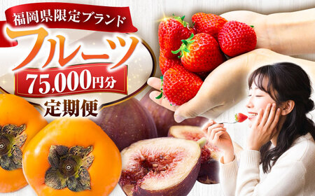 �y�S4�����ցz�t���[�c����� 7��5��~�R�[�X(���܂���2�큕�����������`) �s�L�O�s�t�y�L�O�s����ցz[VZZ020]