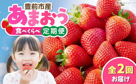 [全2回定期便]あまおう2種食べ比べ返礼品 4万円コース [豊前市][豊前市定期便]